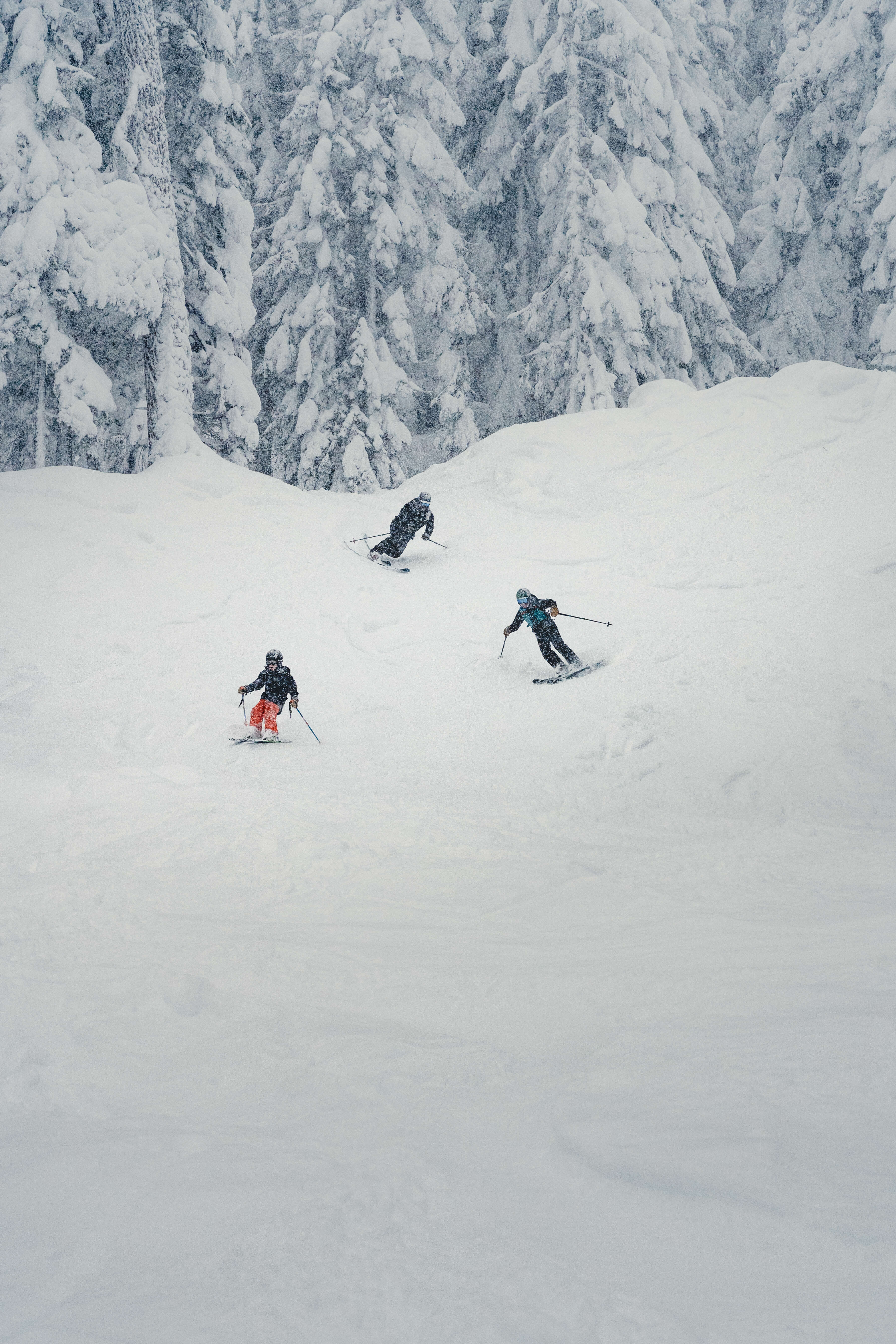 snowboarders smiling on a mystical foggy morning
