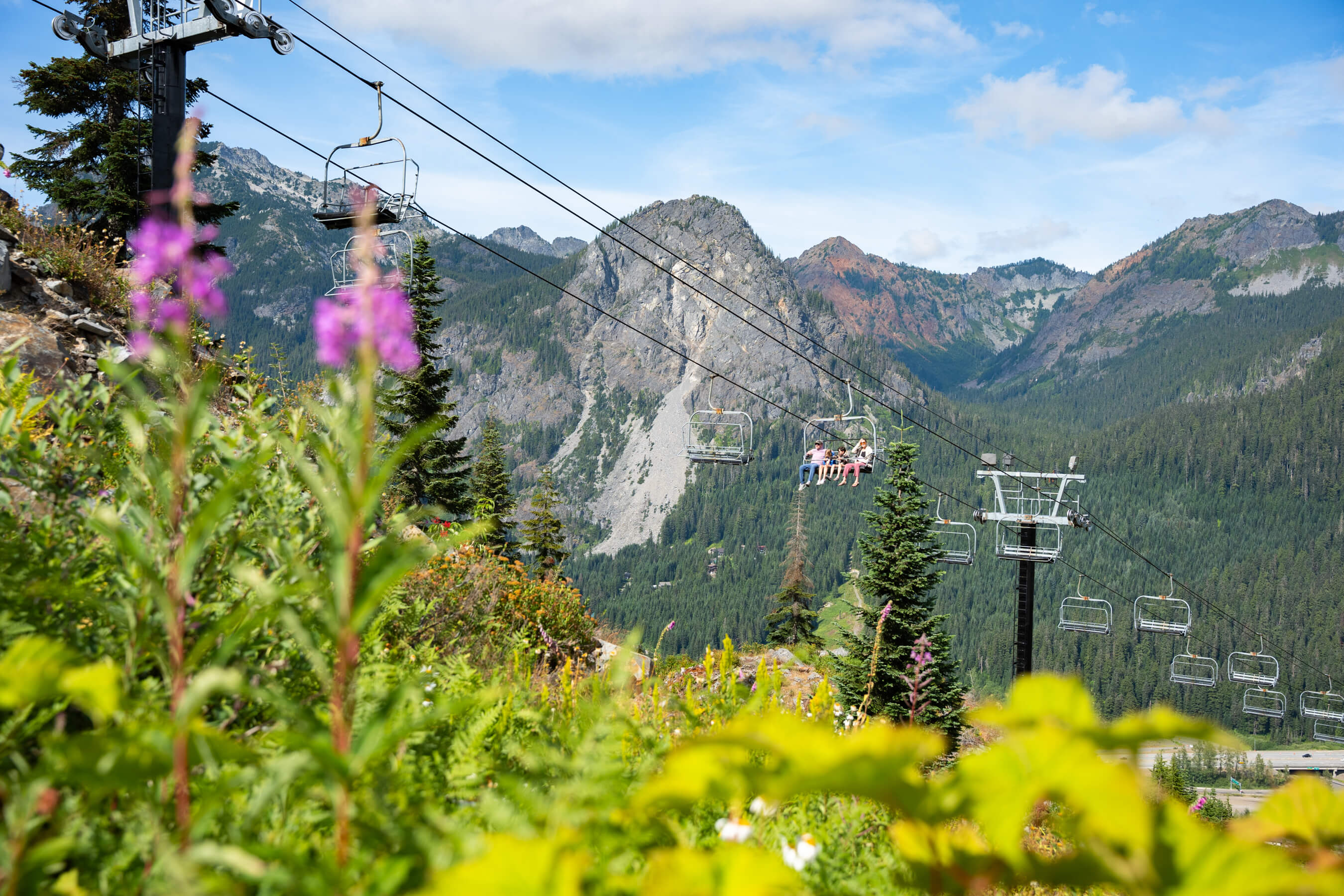 a scenic image of a family on a scenic chairlift ride and flowers in the foreground