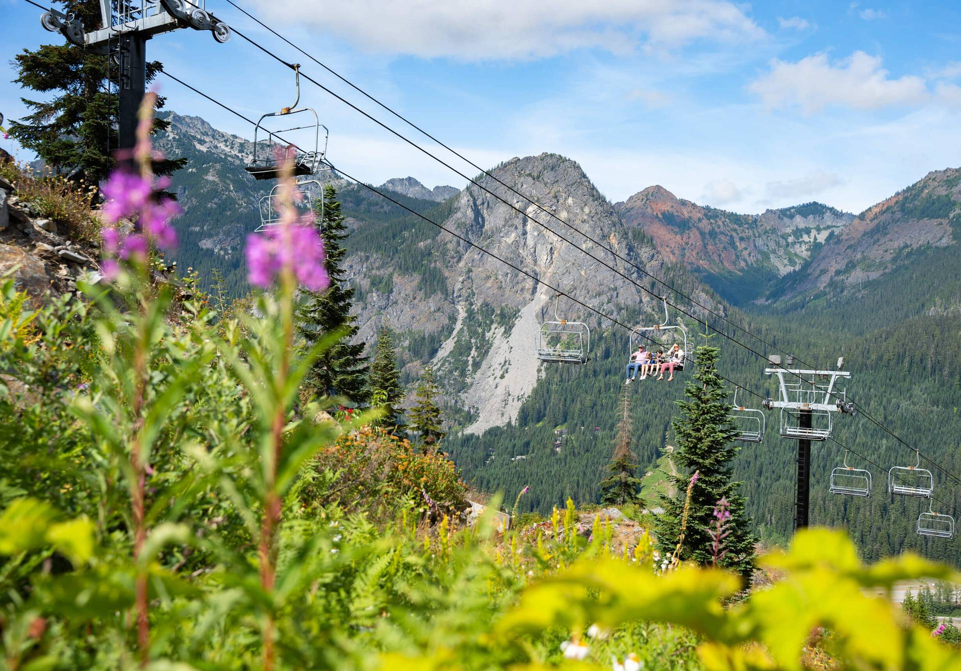 a scenic image of a family on a scenic chairlift ride and flowers in the foreground