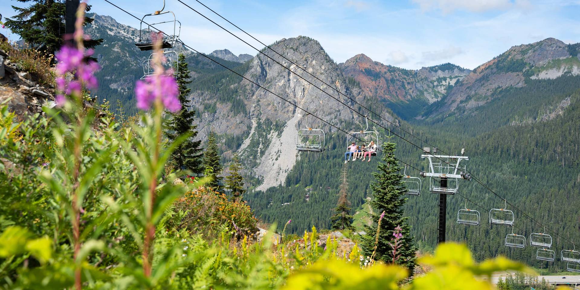 a scenic image of a family on a scenic chairlift ride and flowers in the foreground