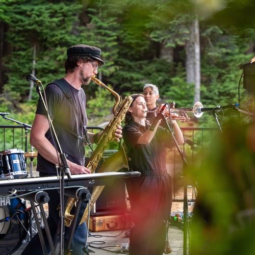 Panda Conspiracy band playing at Silver Fir