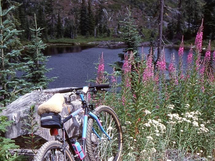 vintage bike next to a lake with wildflowers in frame