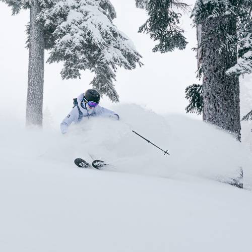 skier shredding