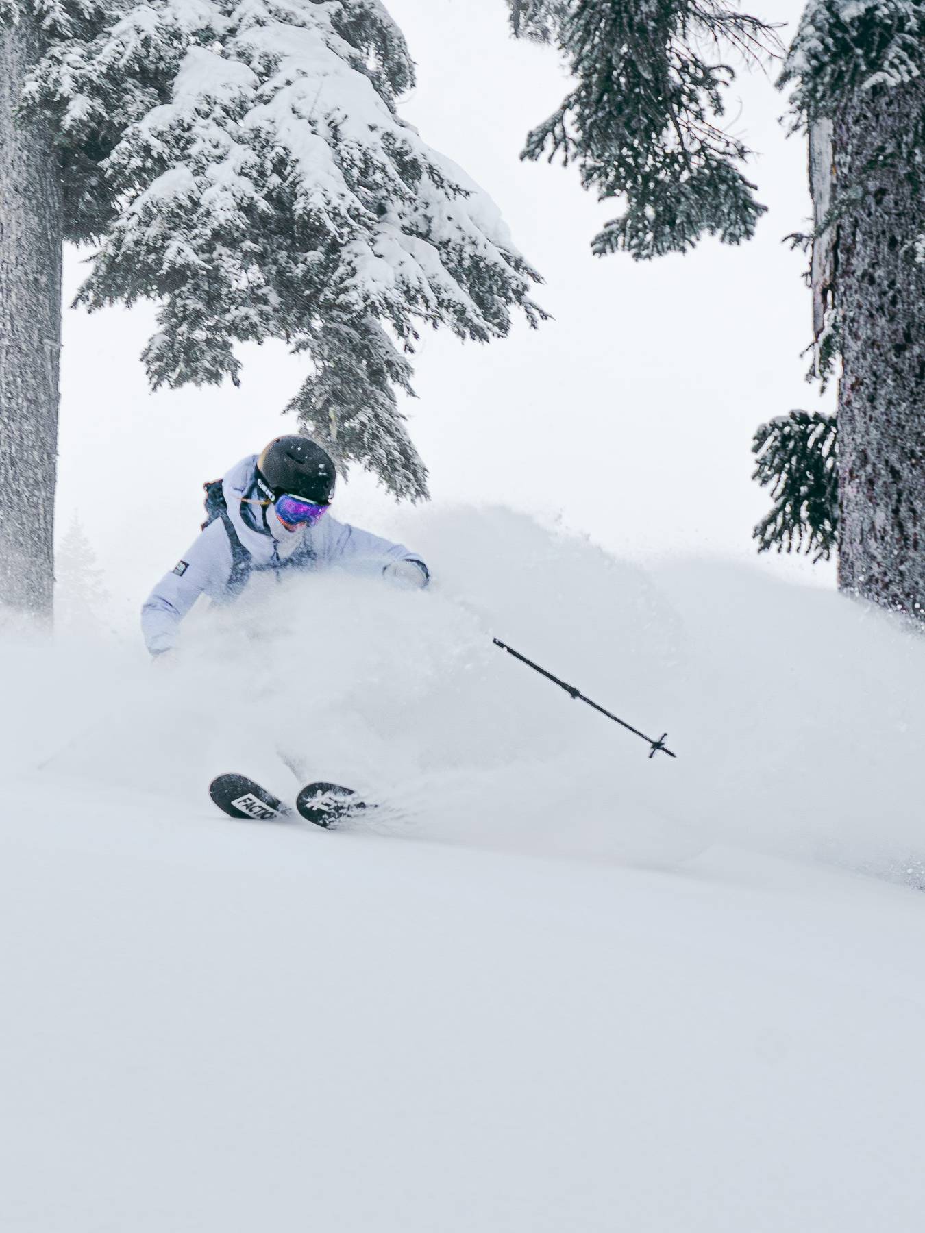 skier shredding