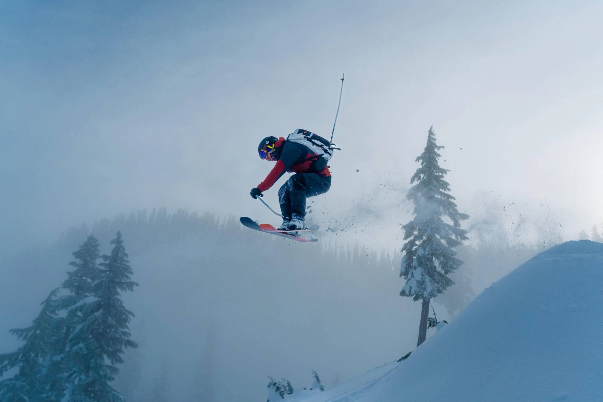 skiers with snowy trees