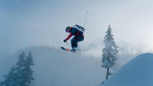 skiers with snowy trees
