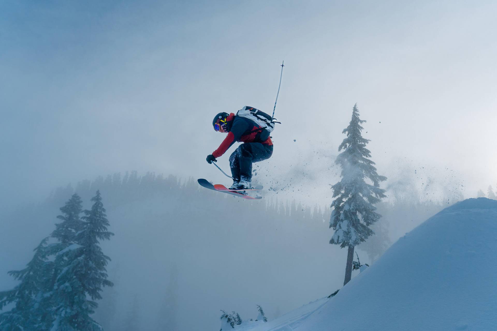 skiers with snowy trees