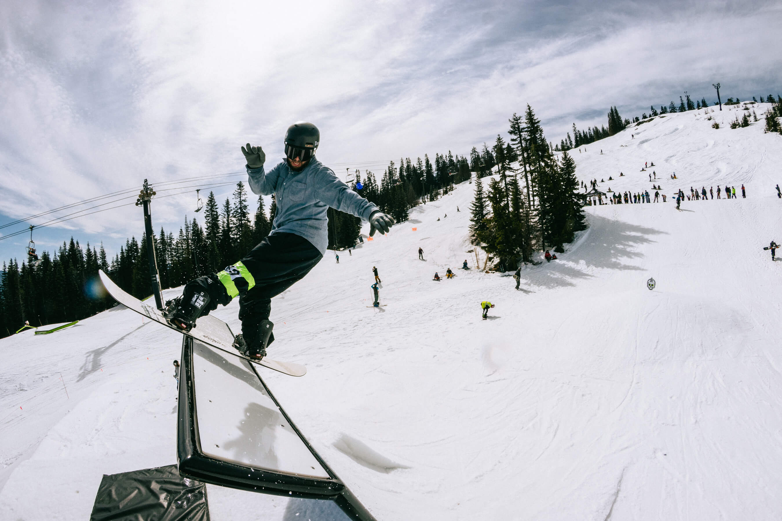 plants in the park event participant 