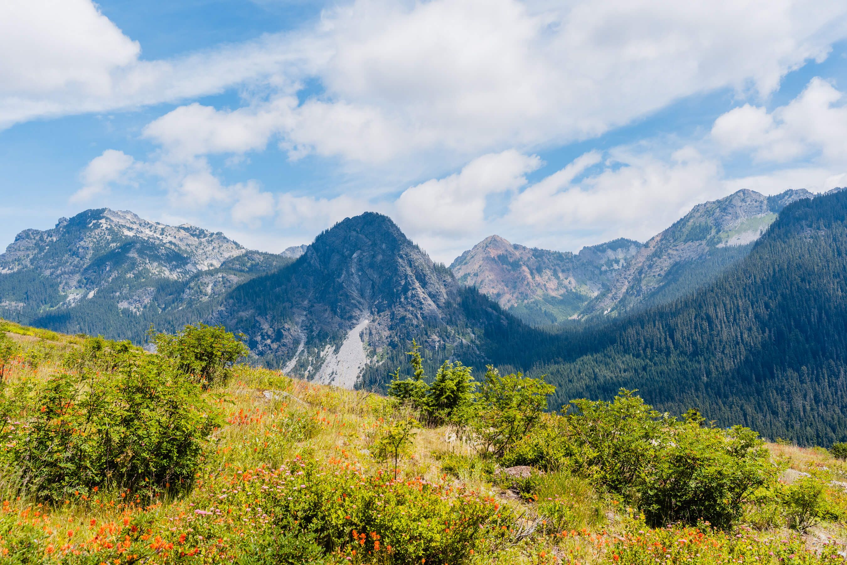 scenic view of Guye Peak in summer