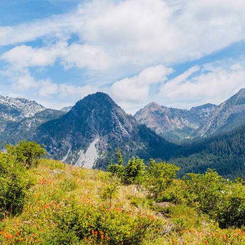 scenic view of Guye Peak in summer