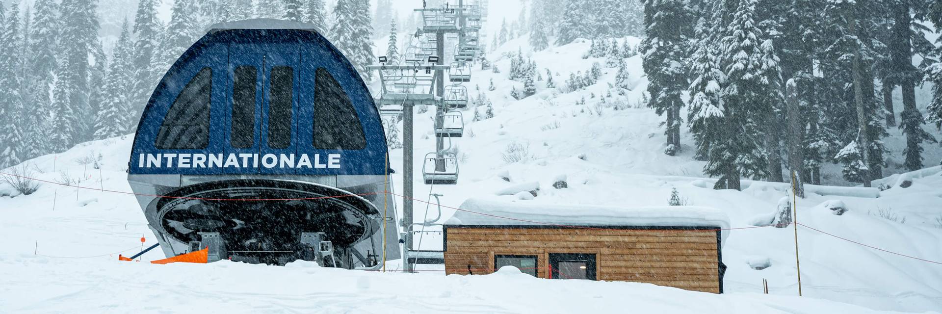 Internationale Chair