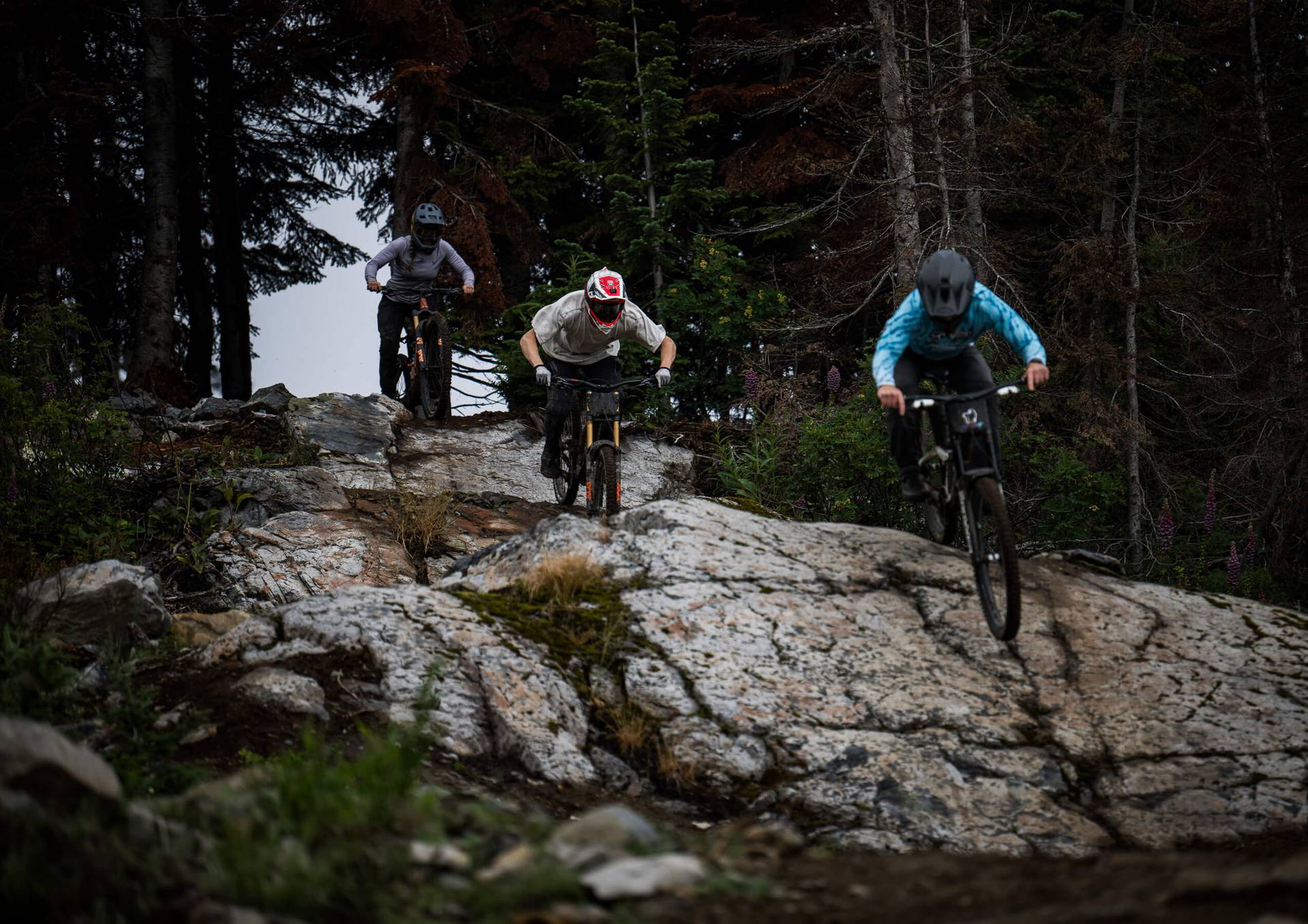 mountain biker on a flow trail