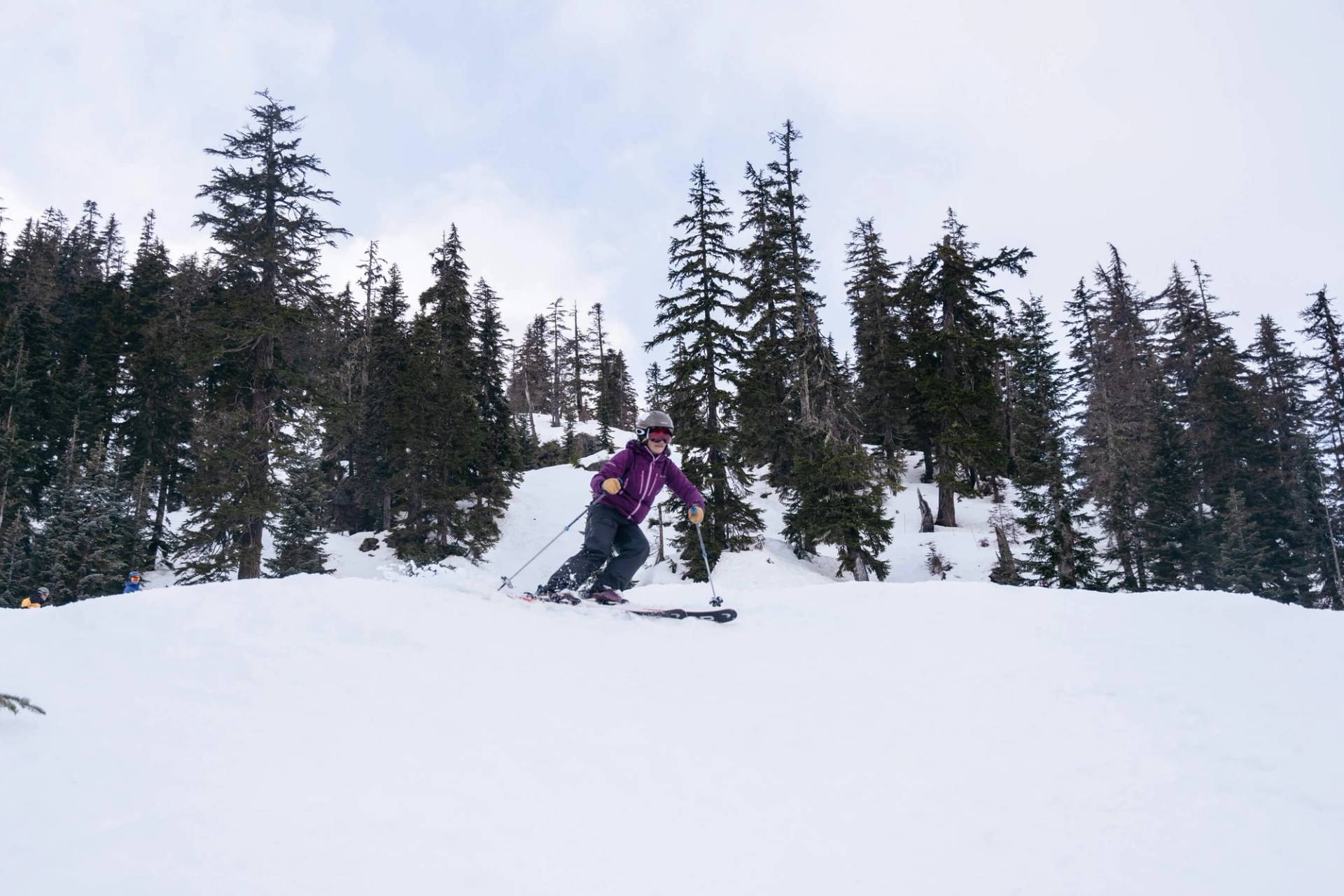 skier in purple jacket