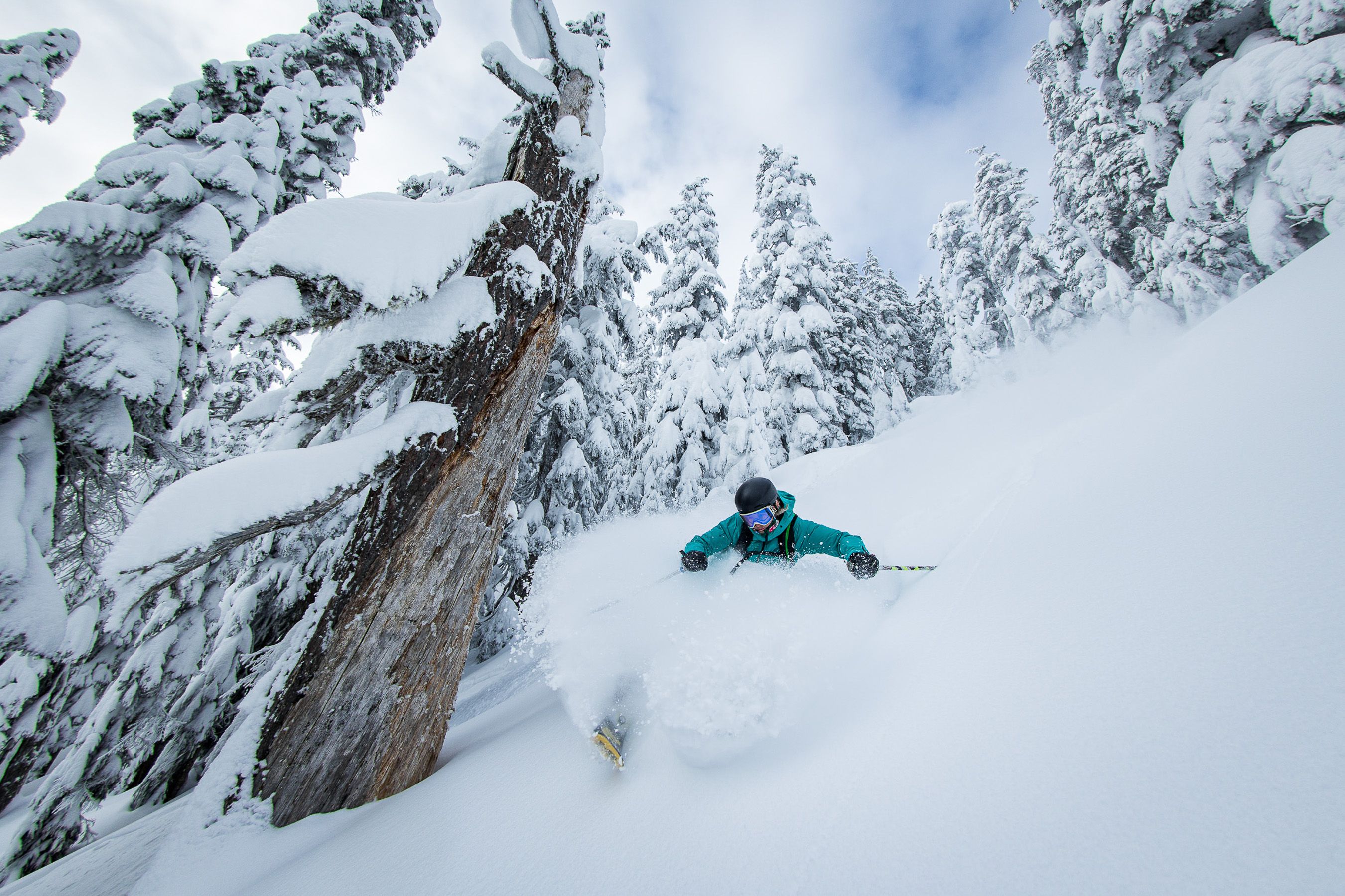ダイワ　TD-Z USトレイル 100 ML＋スノーピーク メゴチバサミ(S) Deep Snow & Tree well Safety | Summit at Snoqualmie