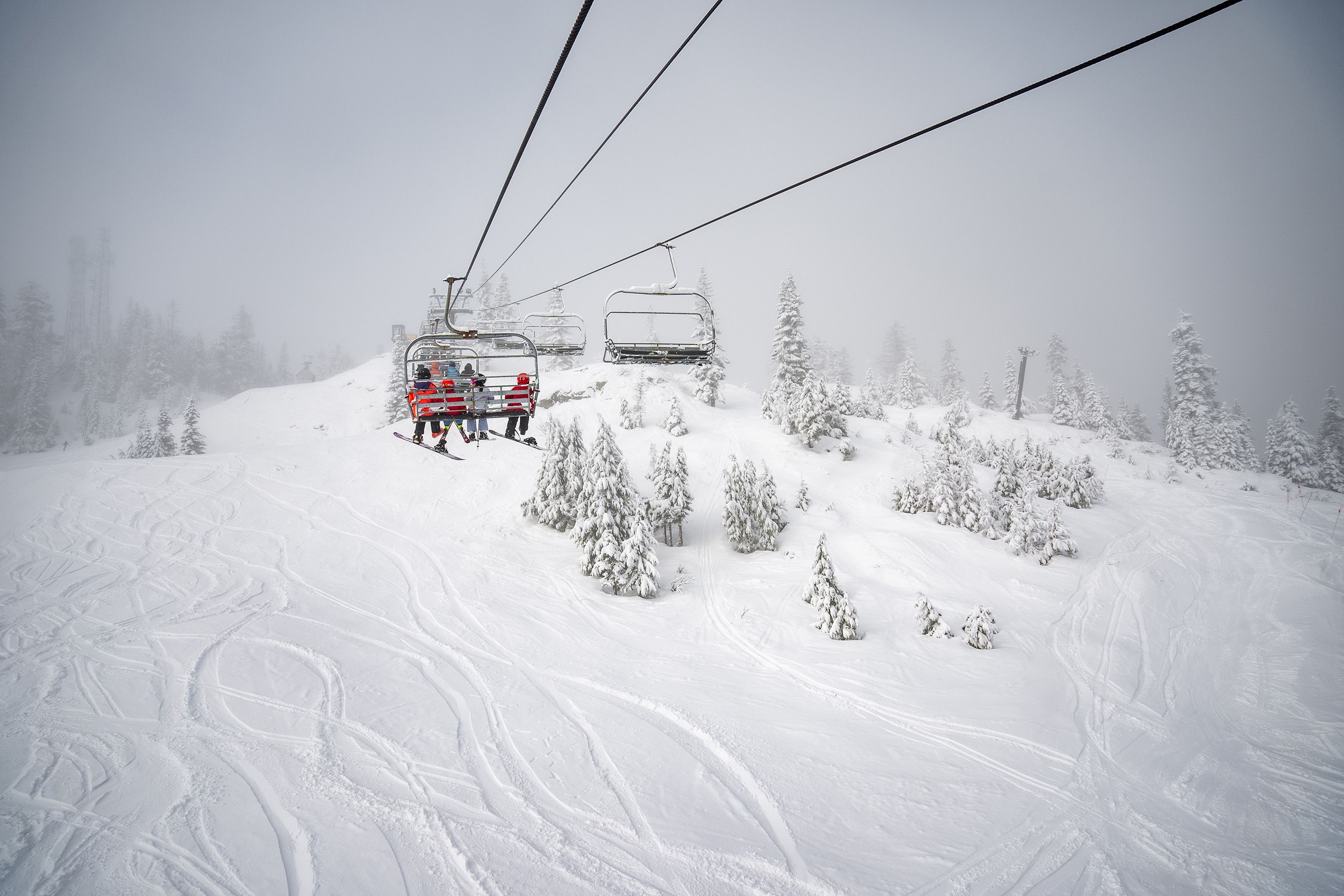 Snow covered trees and fresh tracks under chairlift