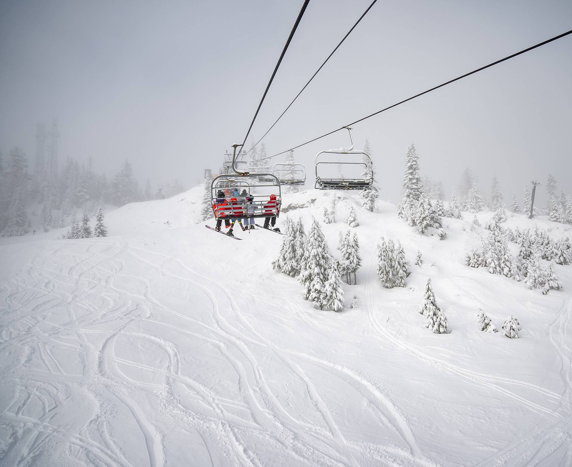 Snow covered trees and fresh tracks under chairlift