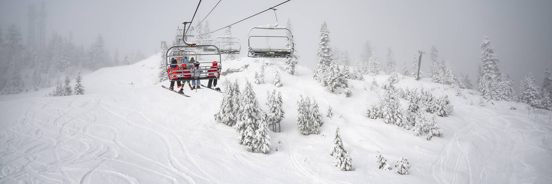 Snow covered trees and fresh tracks under chairlift