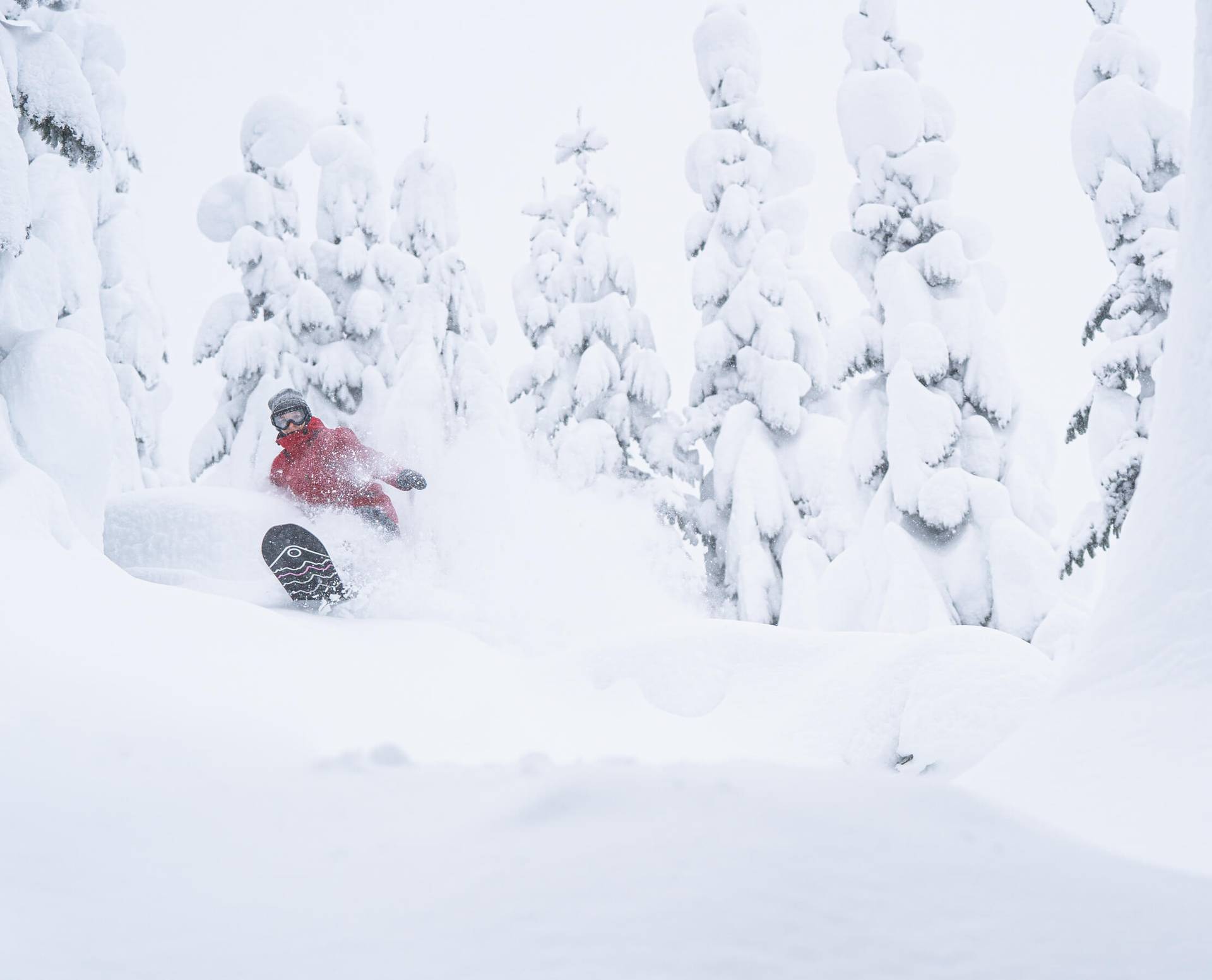 Woman snowboarding in deep powder