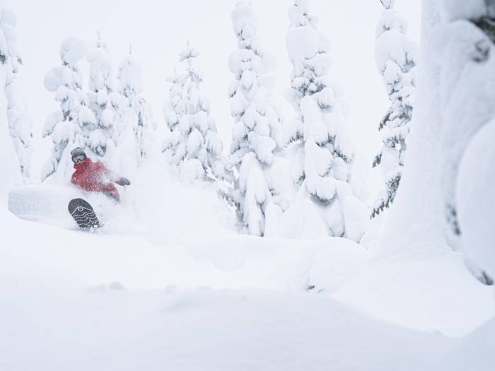 Woman snowboarding in deep powder