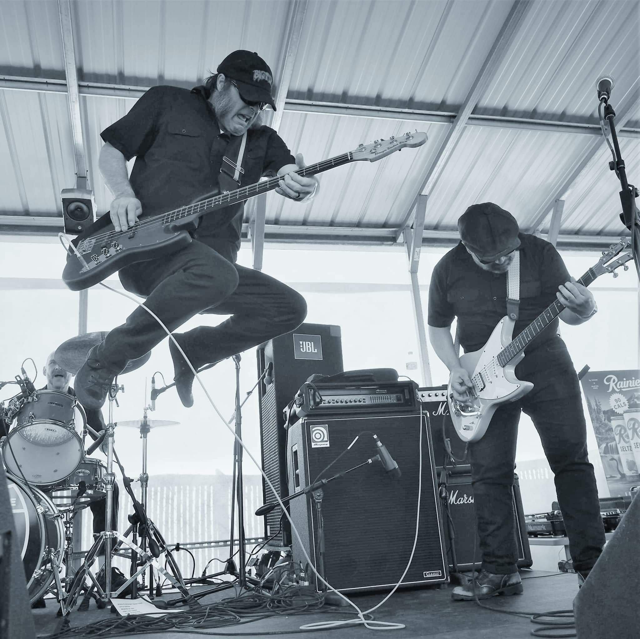 graceland 5 band artist profile