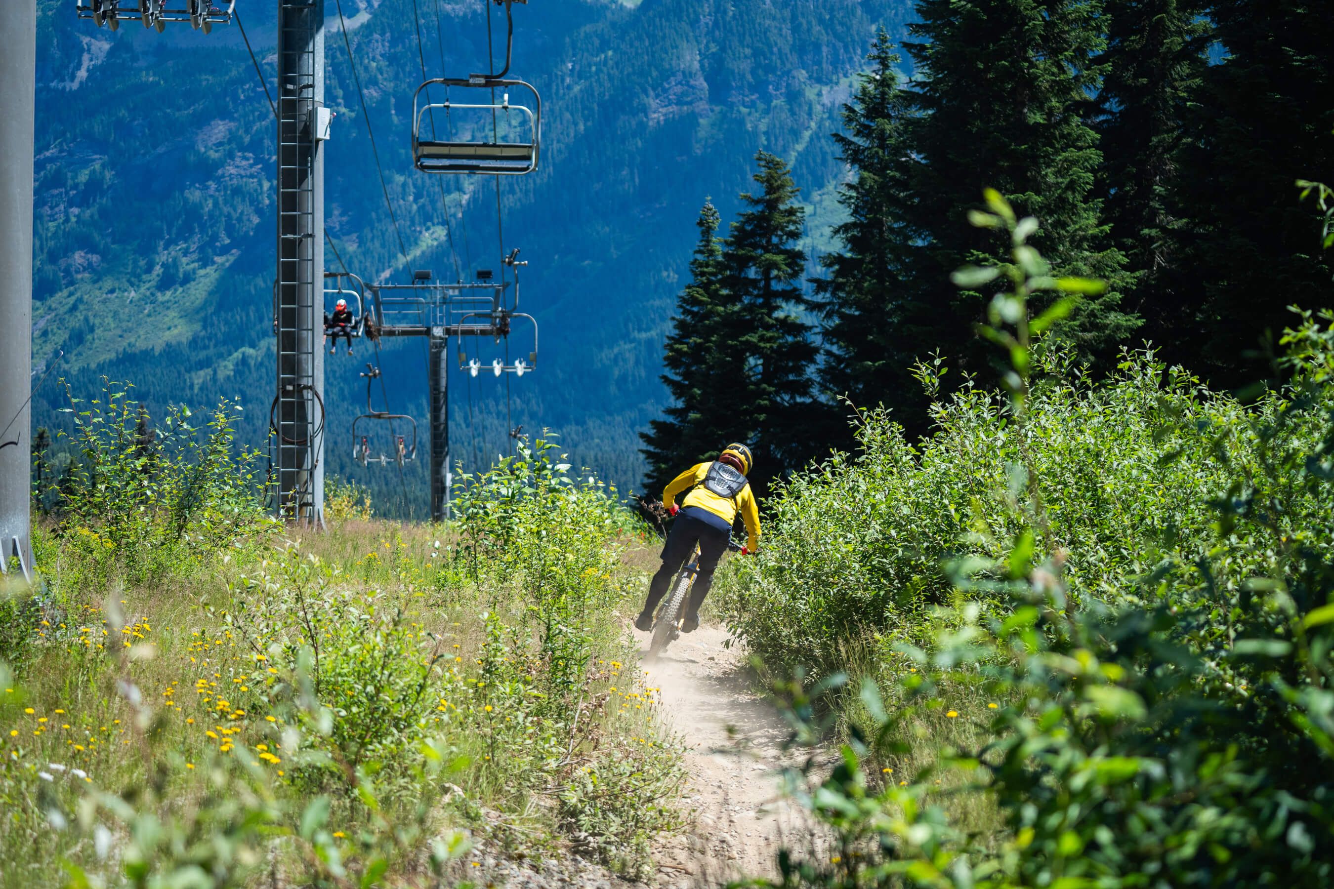 downhill mountain bike racing
