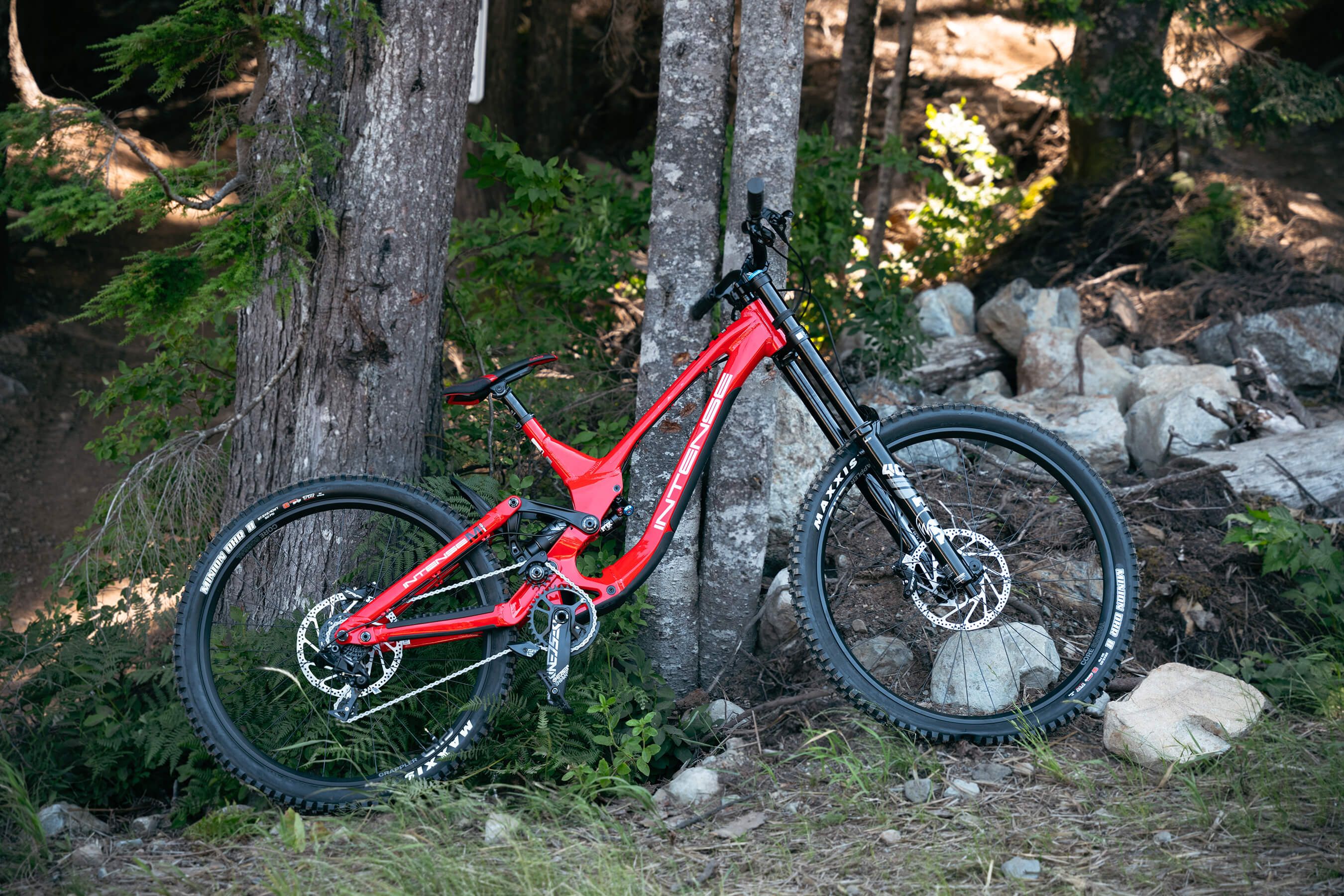 Intense M1 downhill bike rental