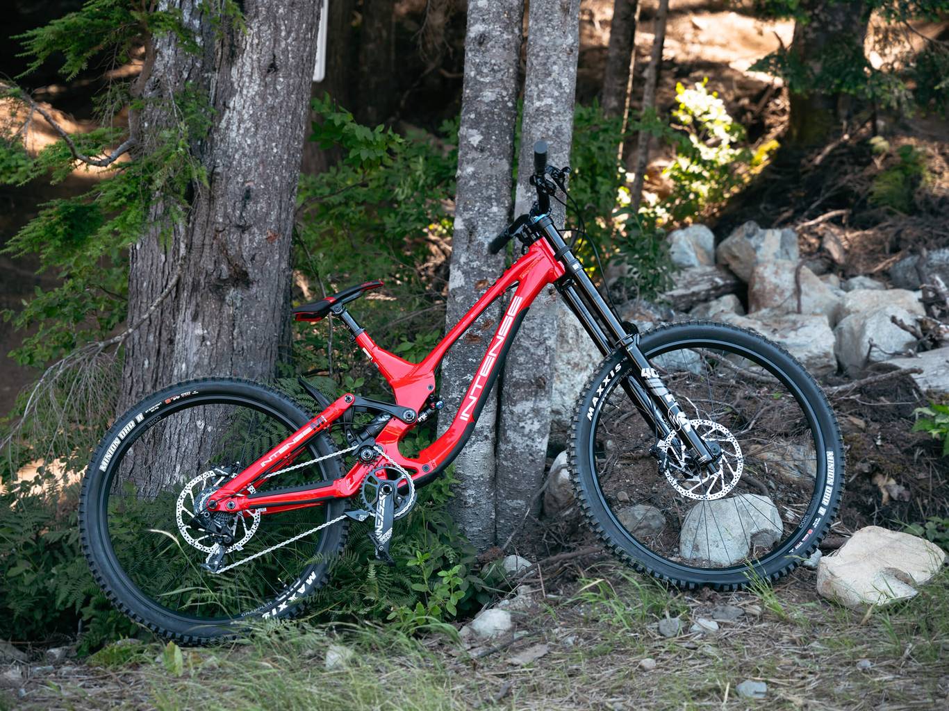 Intense M1 downhill bike rental