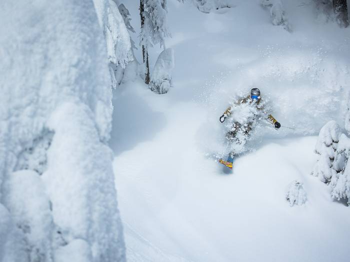 skier deep powder