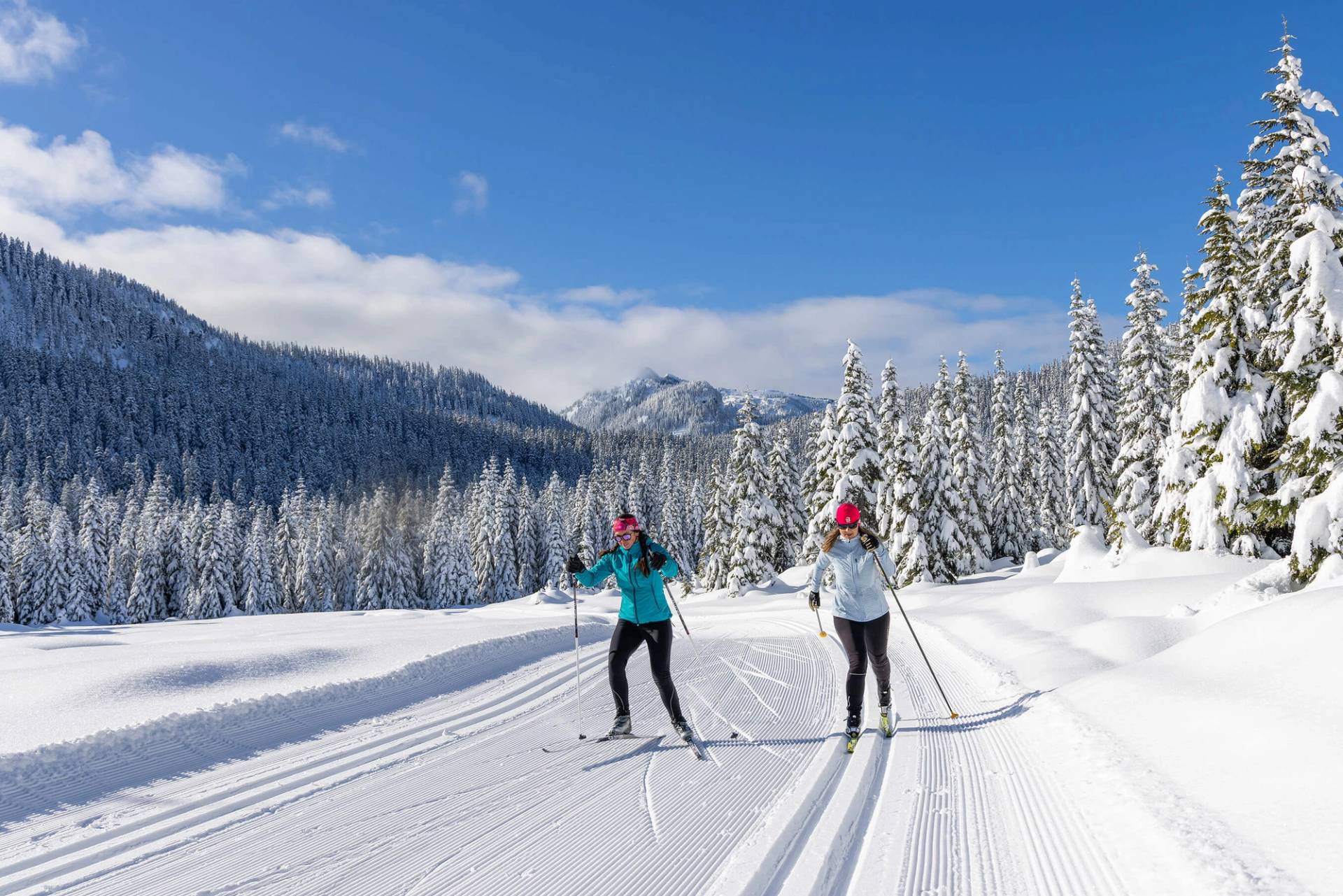 nordic skiers on upper trails