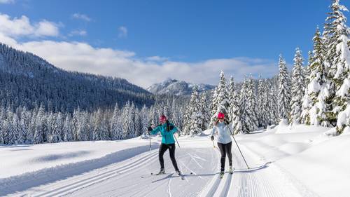 nordic skiers on upper trails