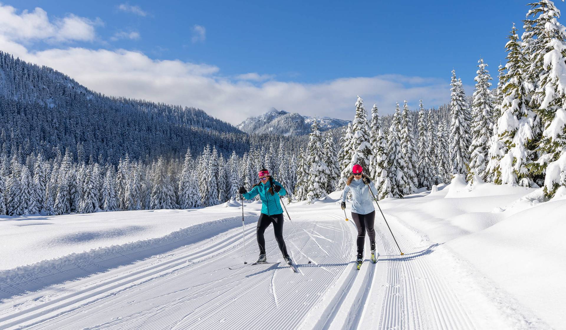 two nordic skiers on nordic trails