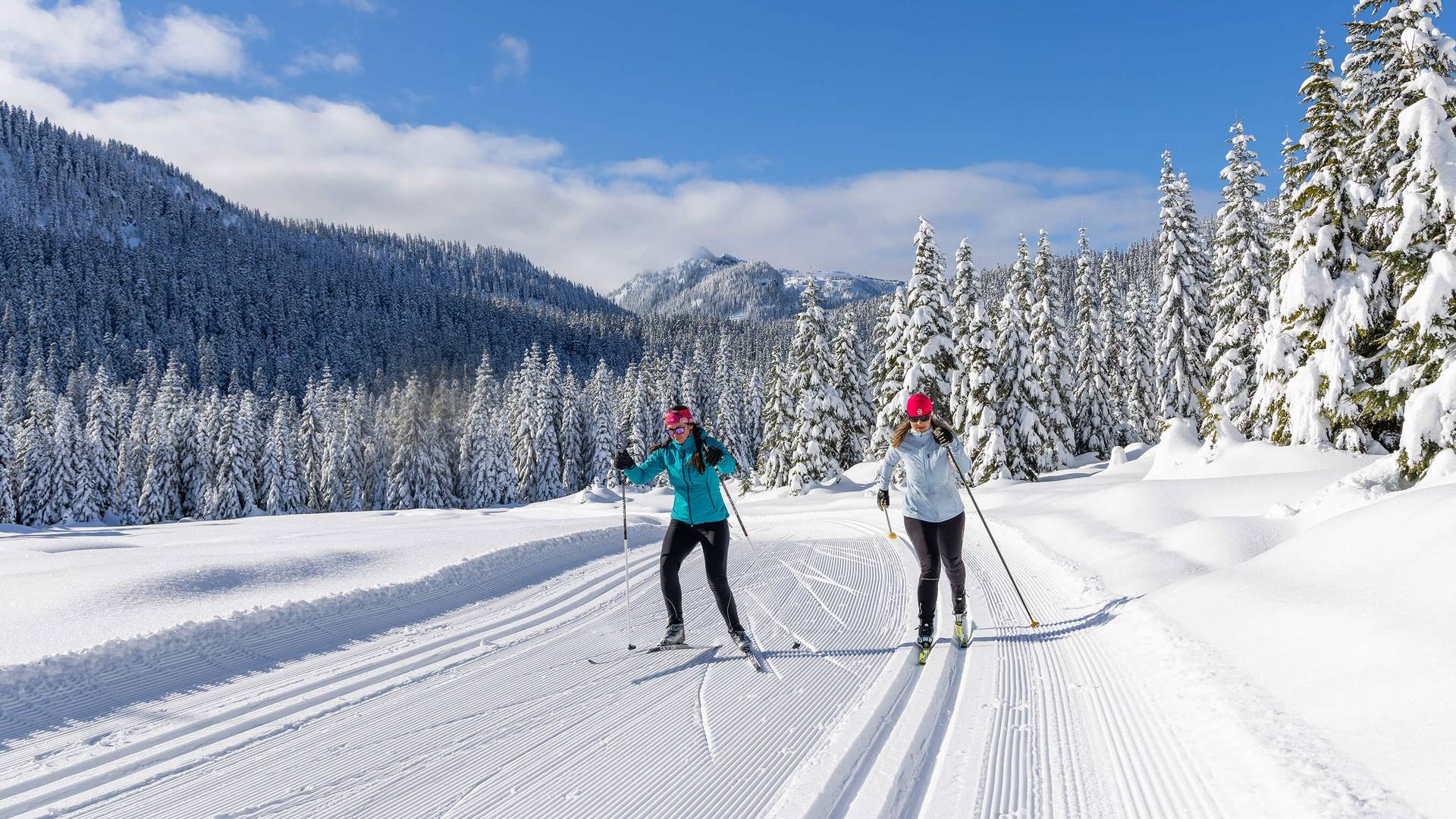 two nordic skiers on nordic trails