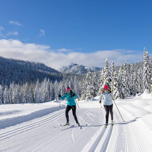 two nordic skiers on nordic trails