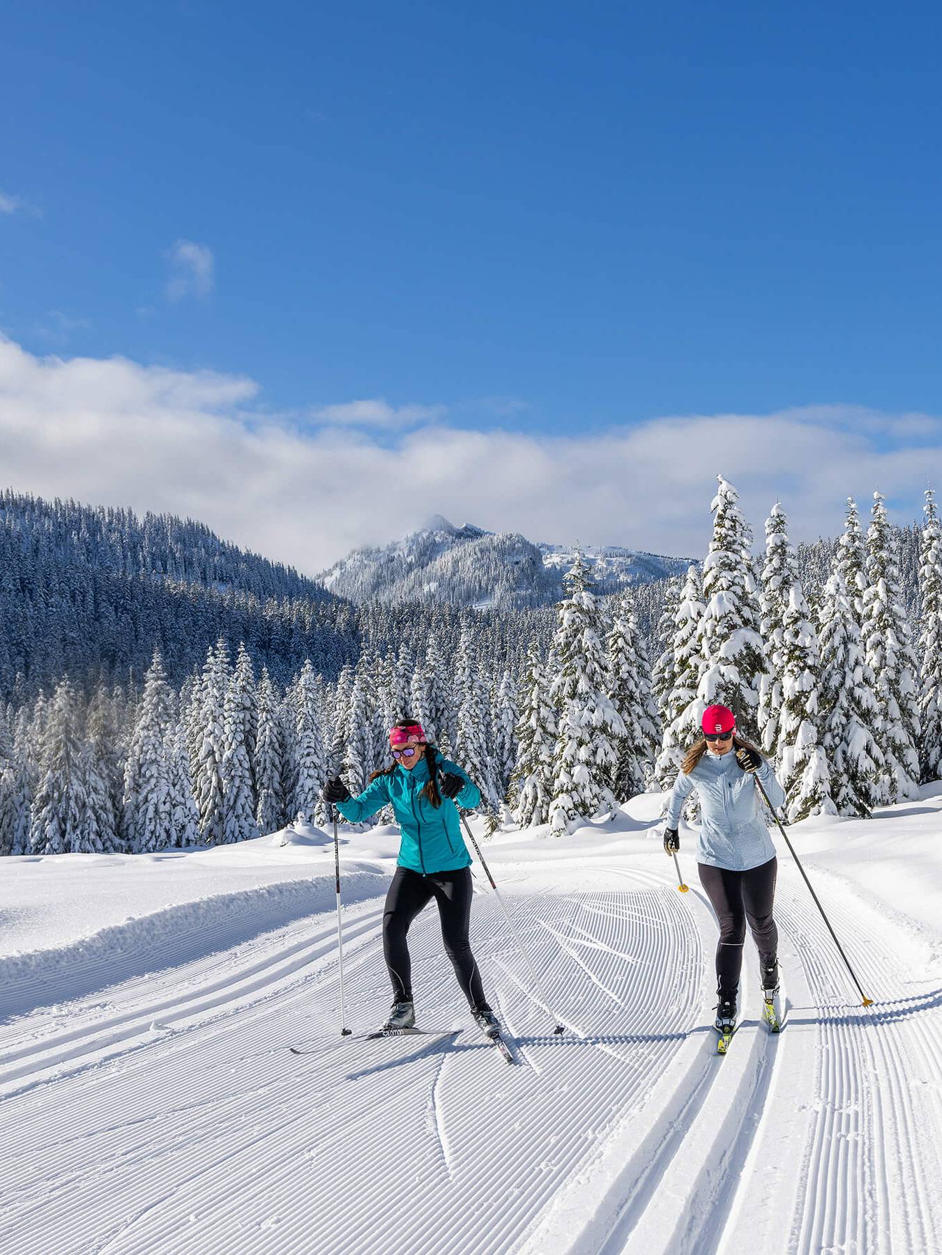 two nordic skiers on nordic trails