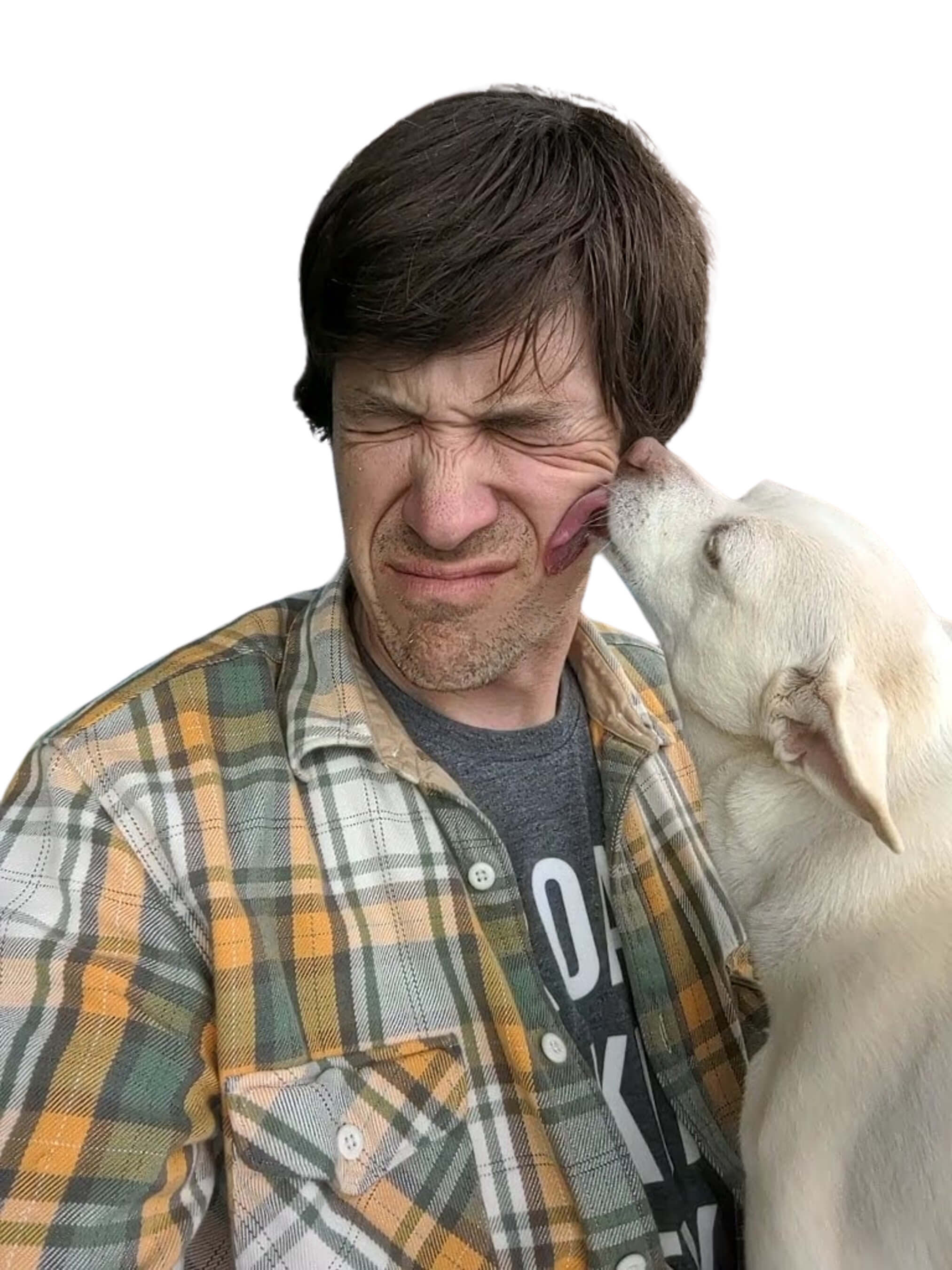 Scott Losse profile photos