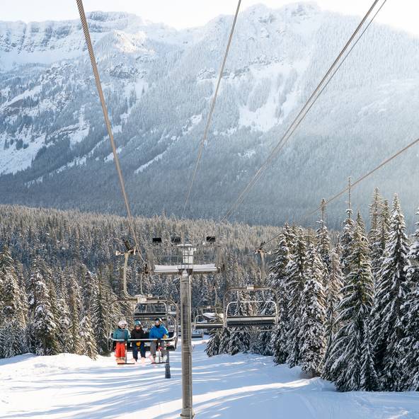 Silver Fir Express