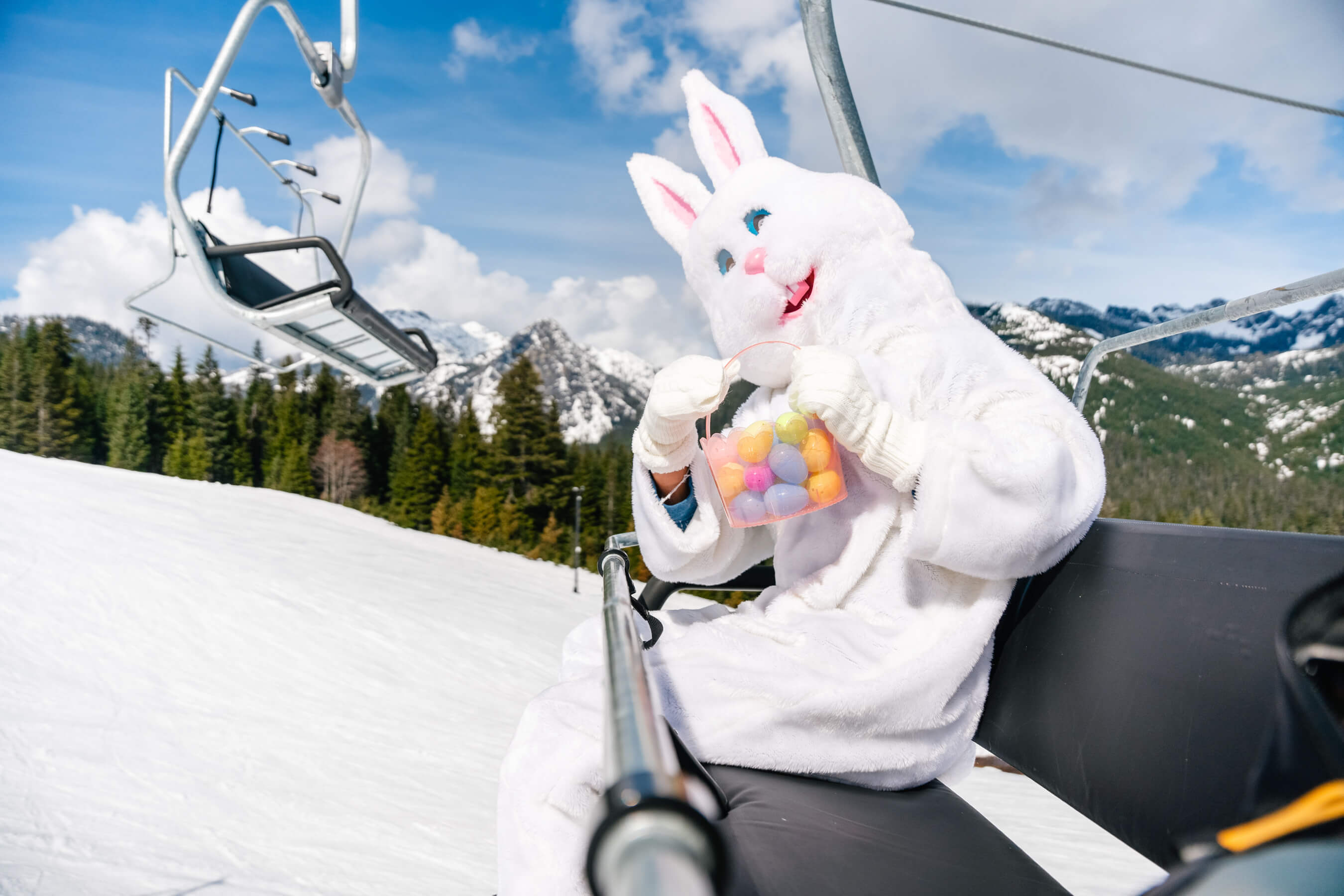 easter bunny on chairlift with egg basket