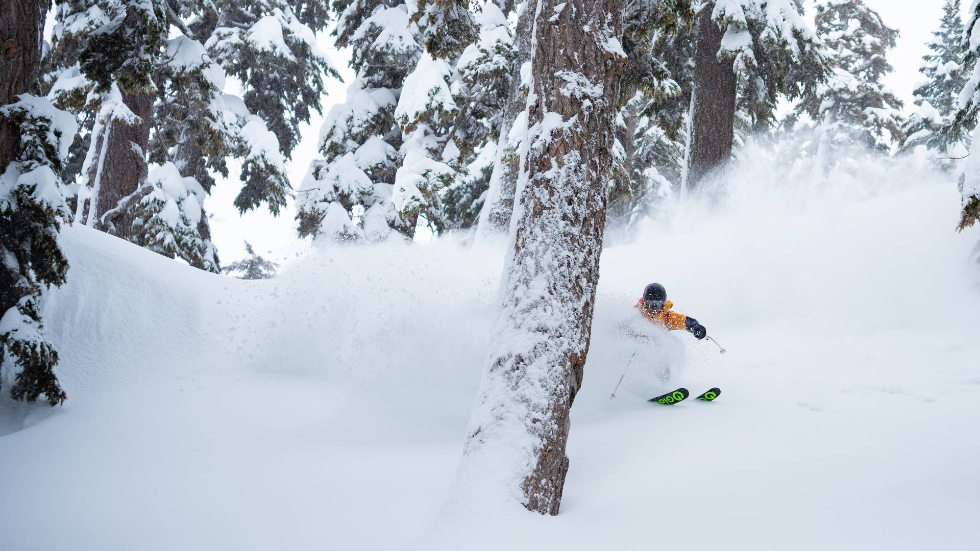 skier making powder turn