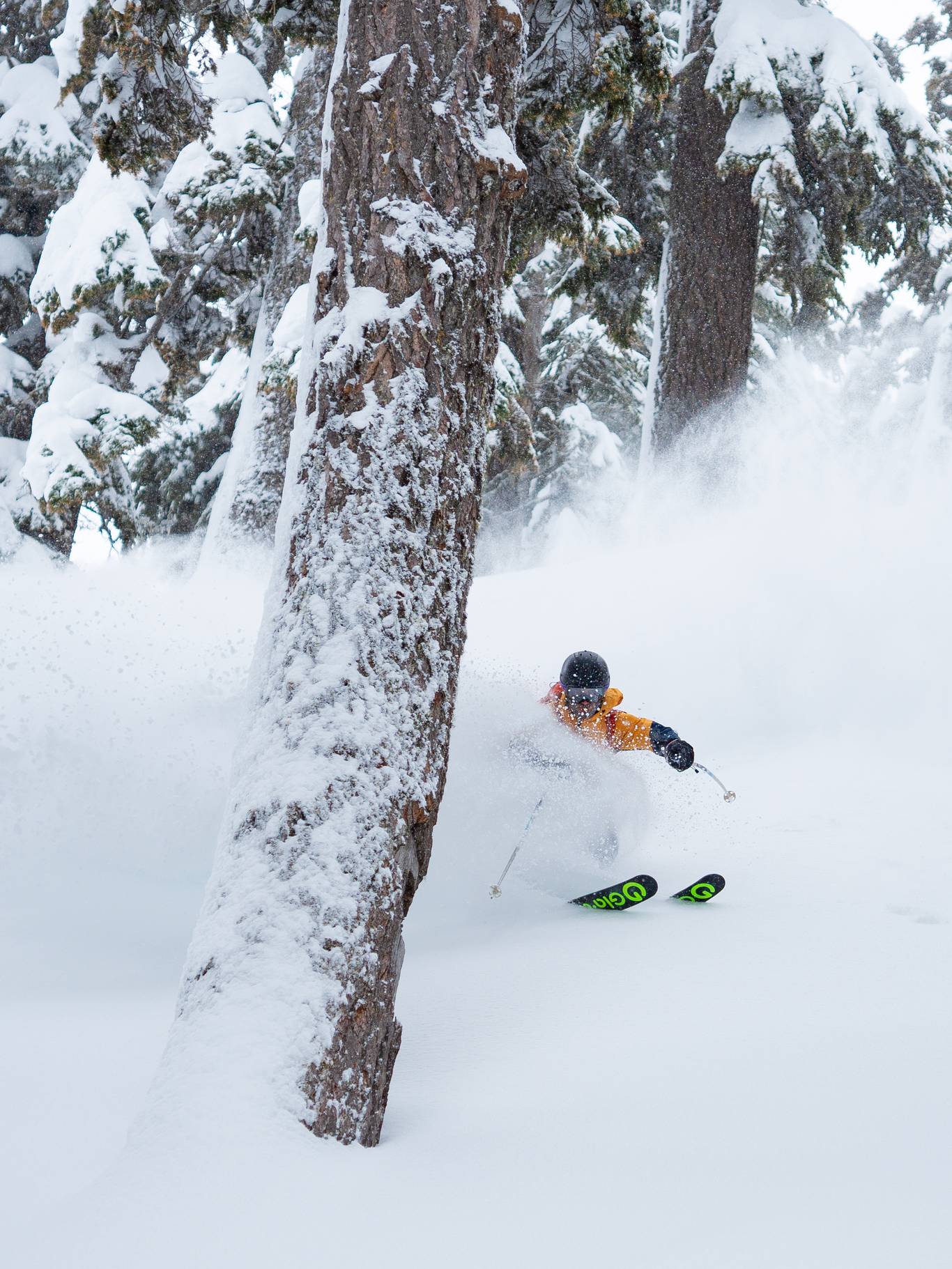 skier shredding powder at Alpental