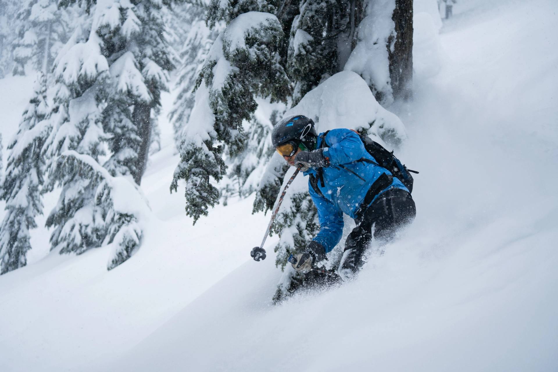 close up on skier powder turn