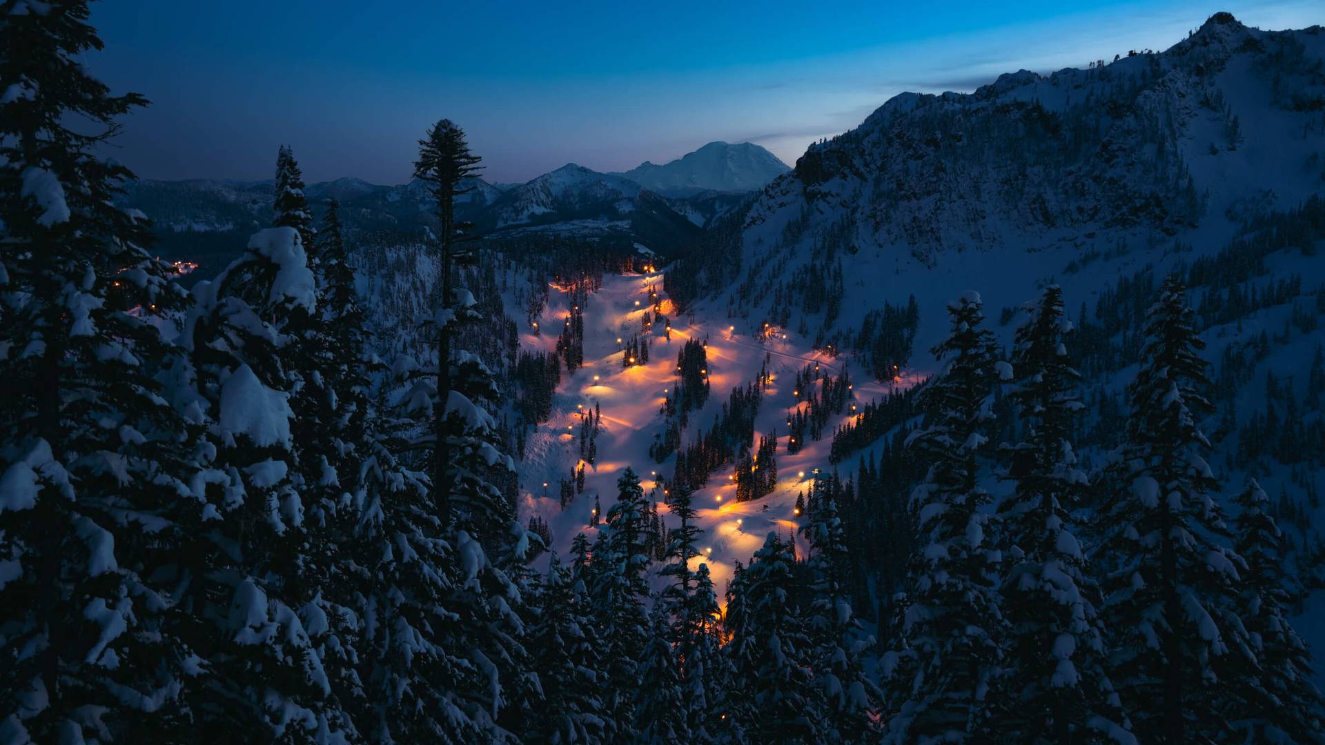 Alpental Nights
