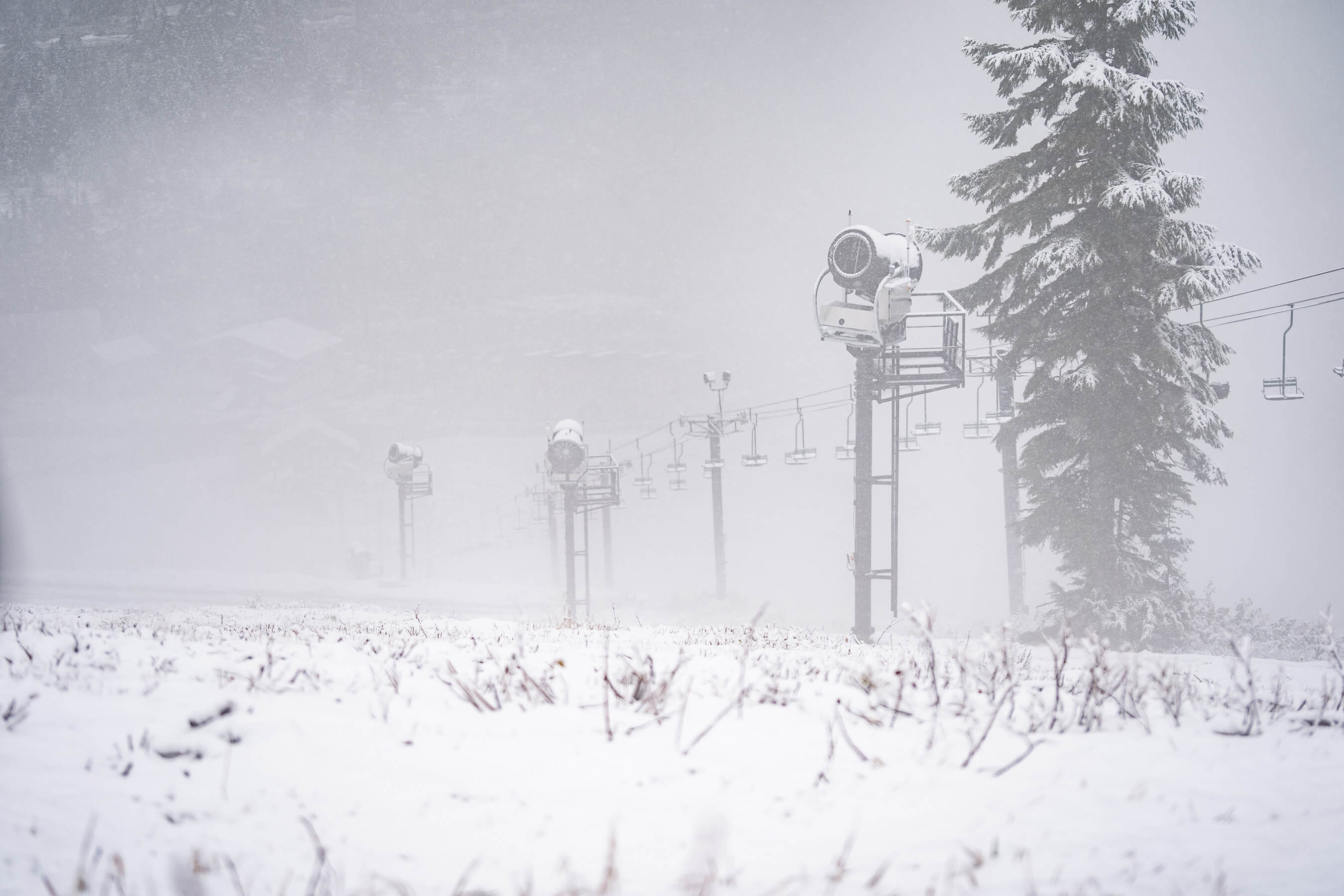 Grass poking through snow with snow guns in background