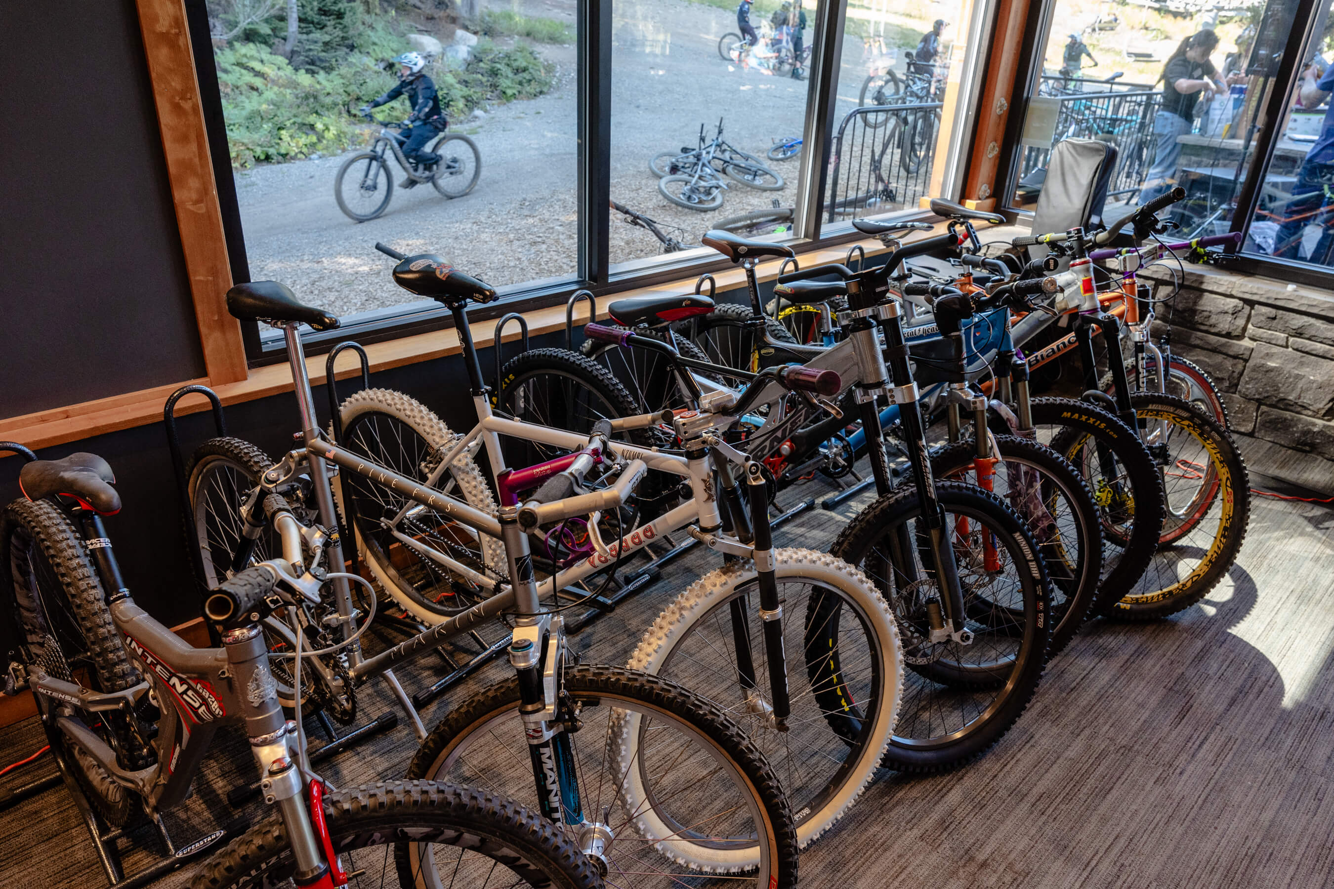 vintage bikes lined up inside Silver Fir Lodge