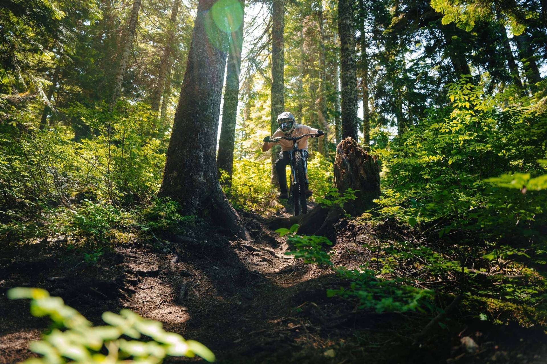 biker on silver fir downhill trail