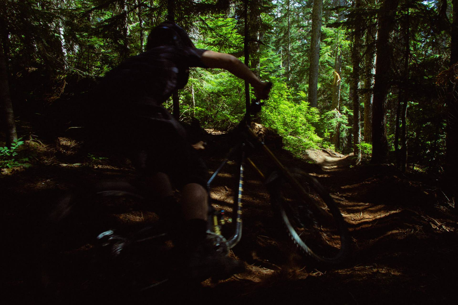 Rider speeds through shadows during downhill mountain bike race