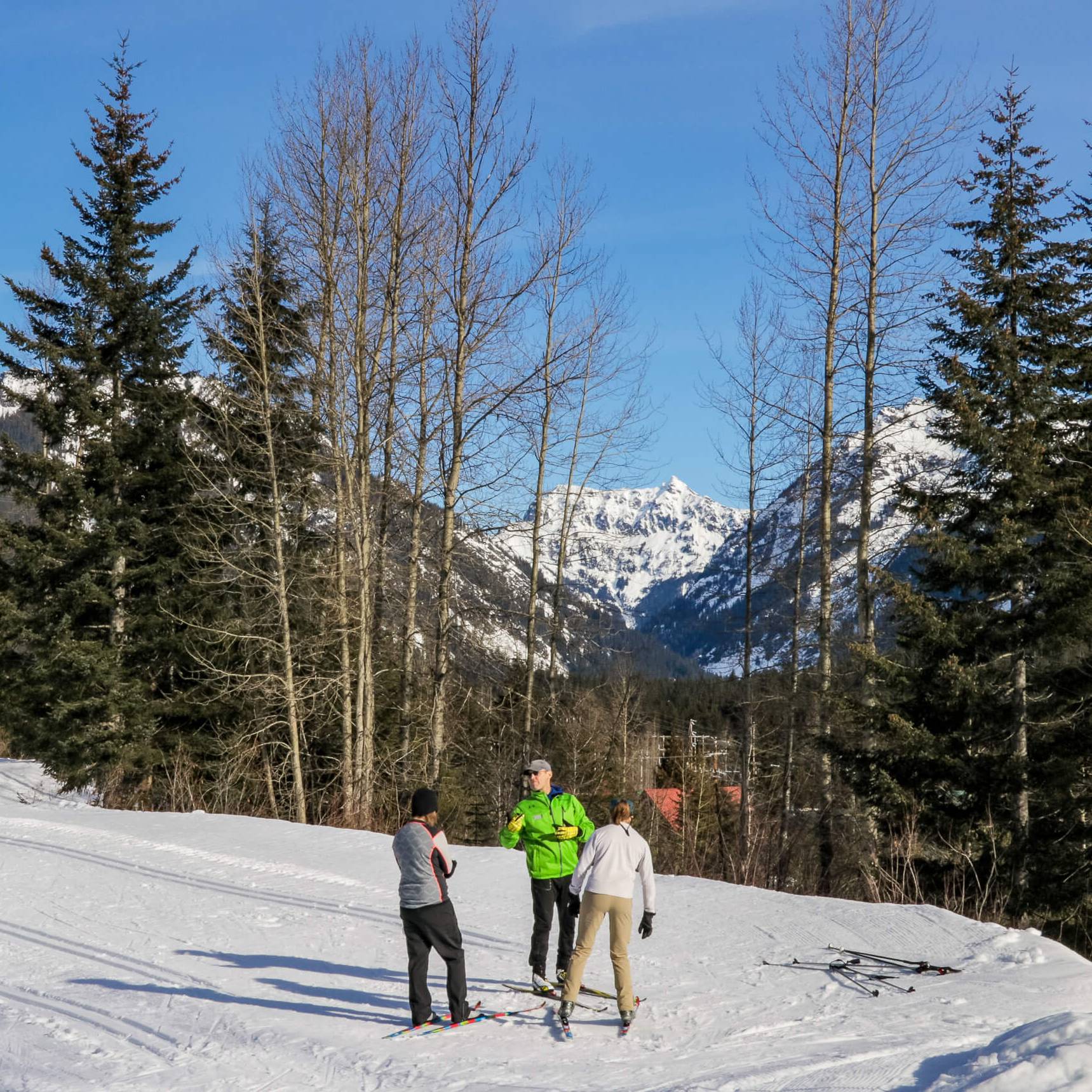 nordic skiing lesson