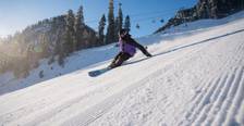 group of skiers and riders