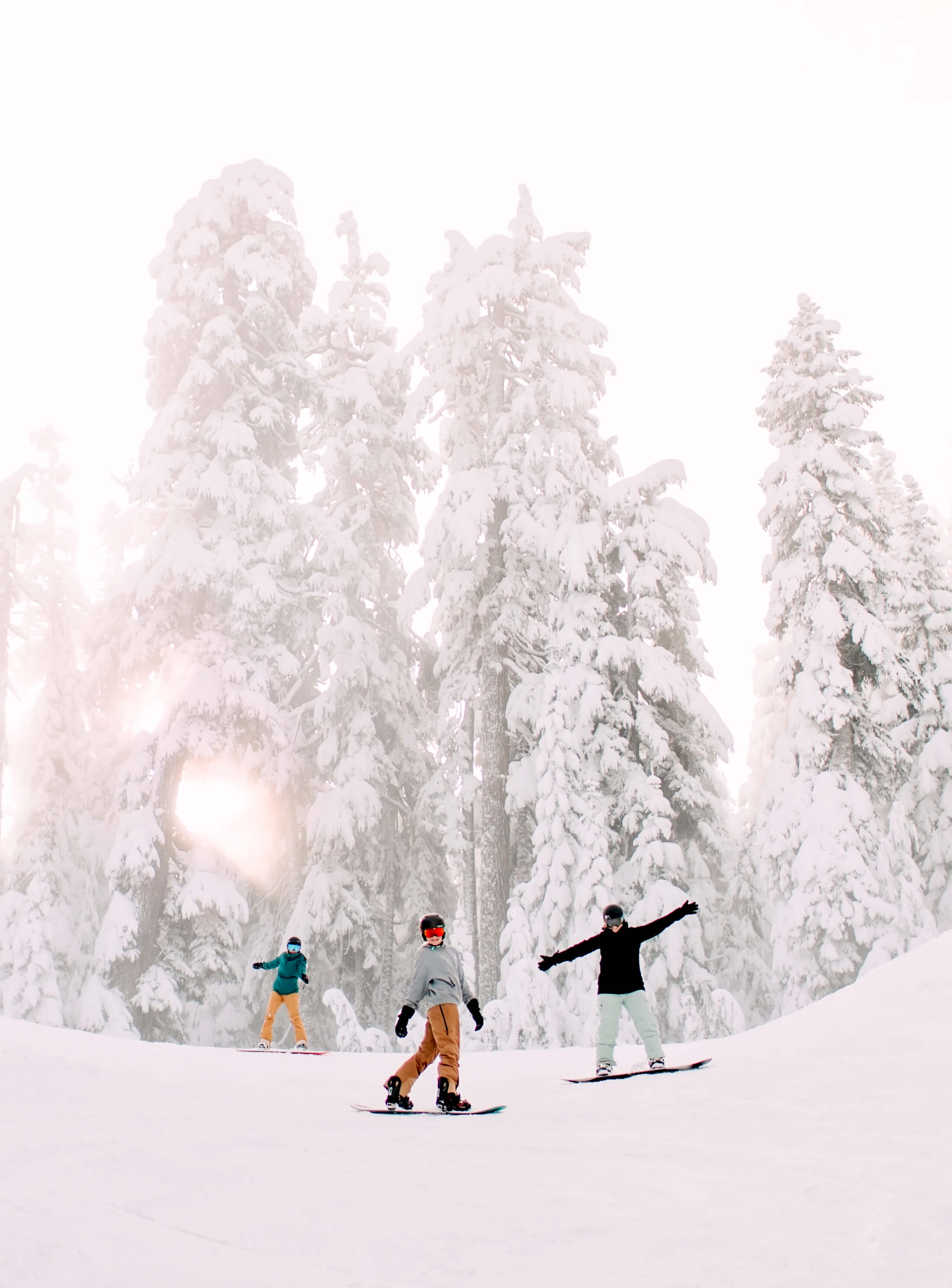 stoked snowboarders with snowy trees