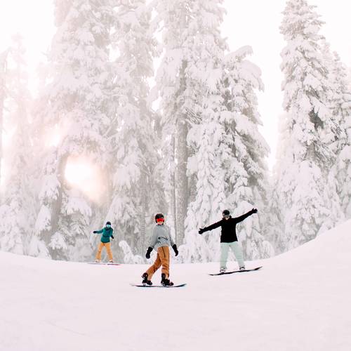 stoked snowboarders with snowy trees