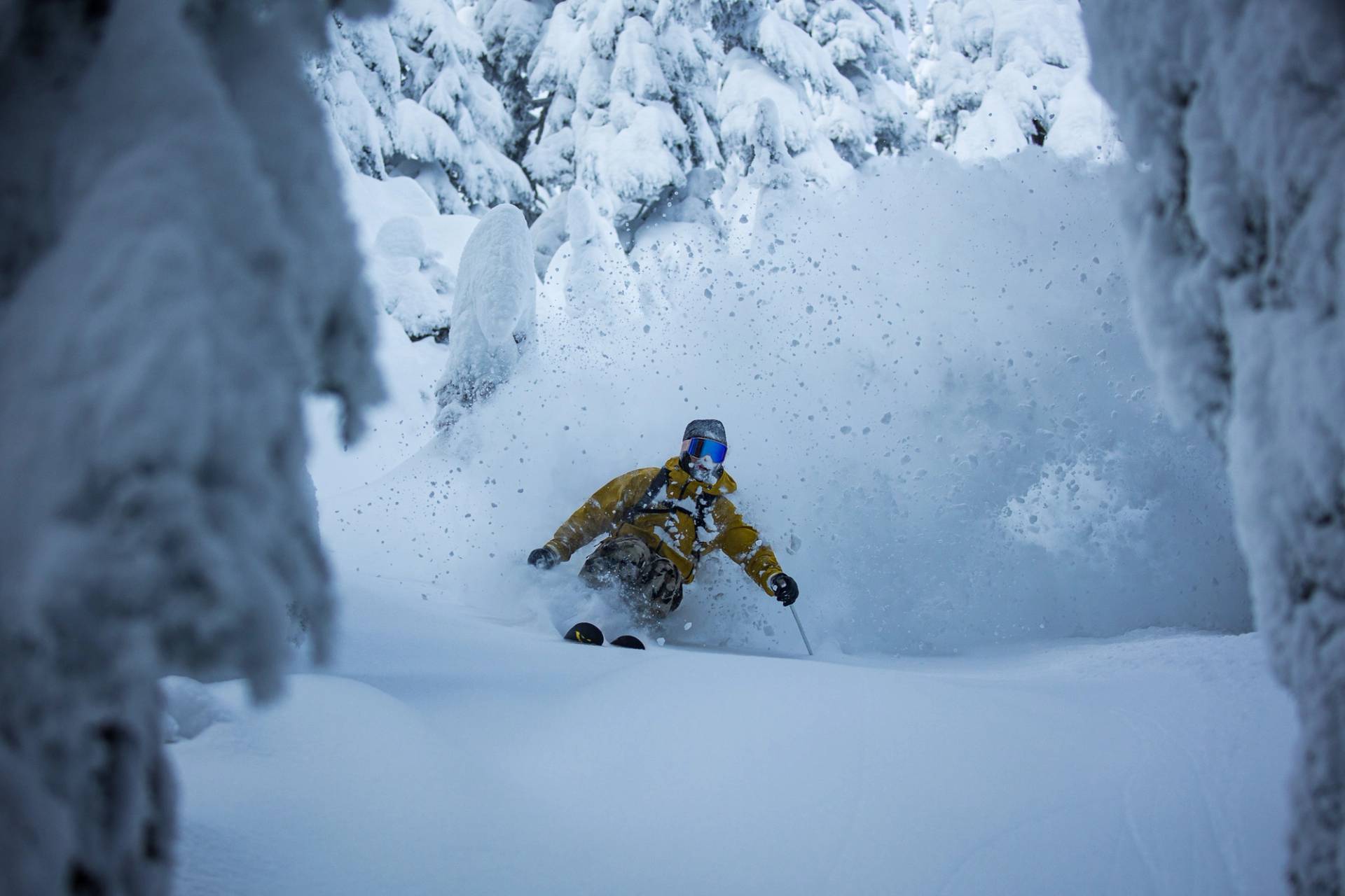 skier making powder turn in trees